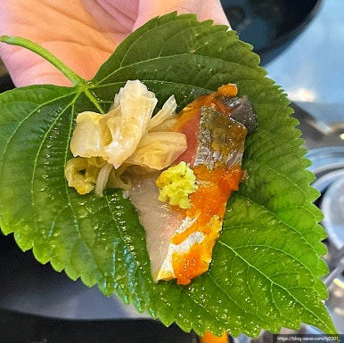 바다곶 이미지