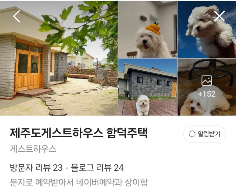 제주도게스트하우스함덕주택 이미지