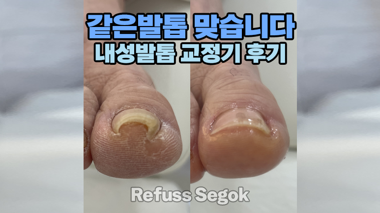 레푸스강남세곡점 이미지