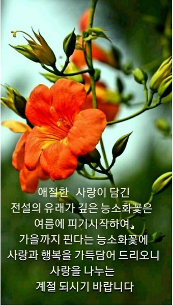 카페 우(CAFE WOO) 이미지