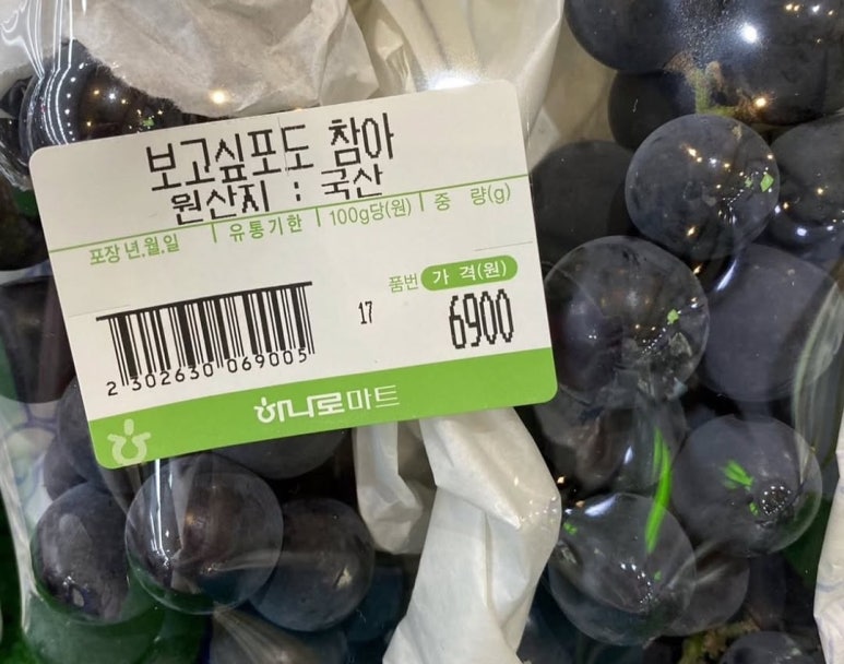 와이에이치글로벌 이미지