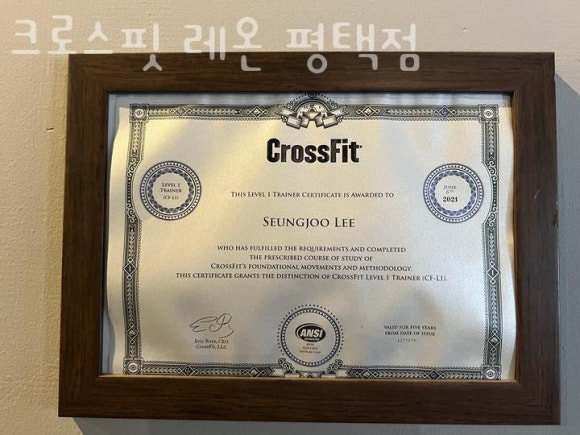 크로스핏레온 이미지
