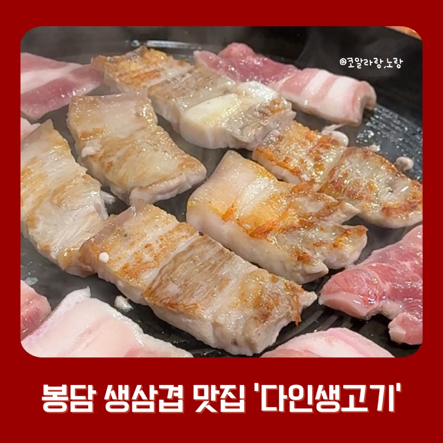 다인생고기 이미지