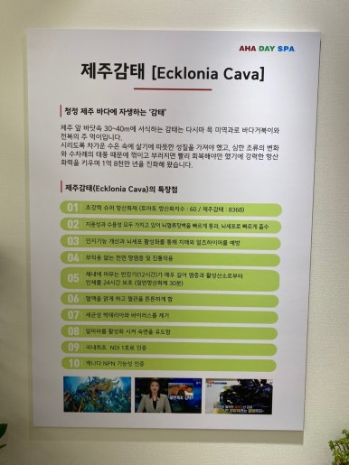 아하데이스파 이미지