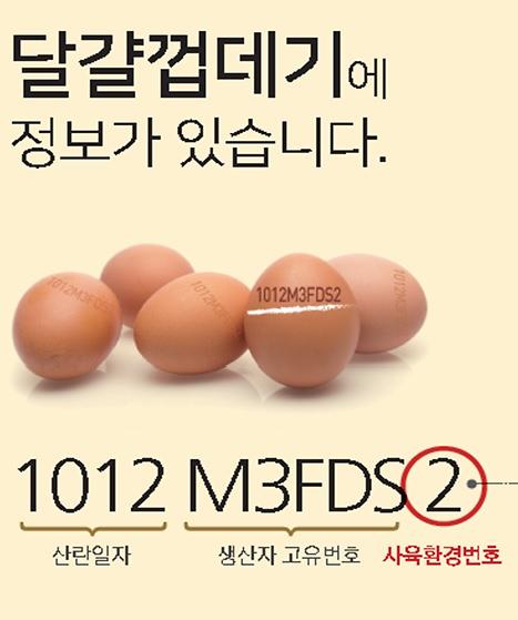 청구소비자유통 이미지