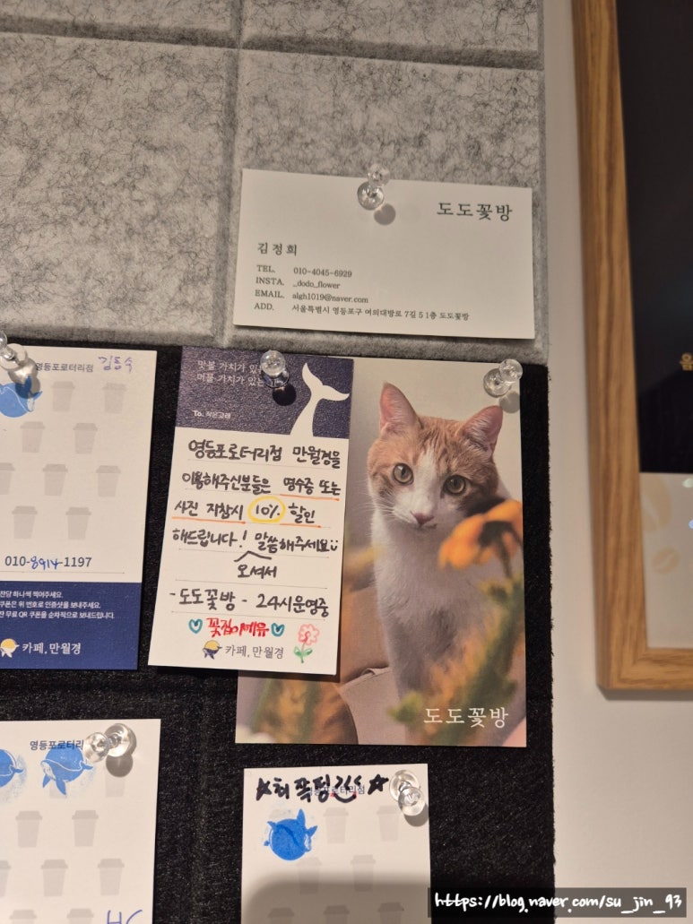 도도꽃방 이미지