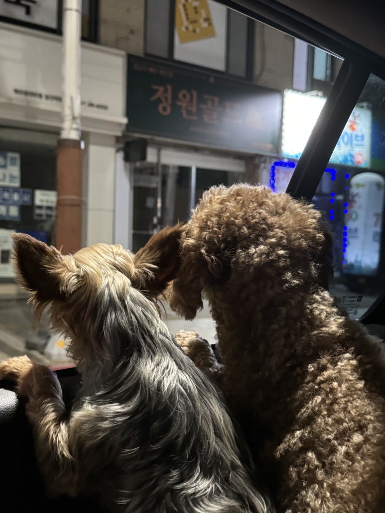 오뉴즈 헤어룸 이미지