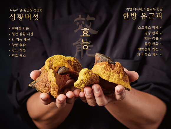 어담 이미지