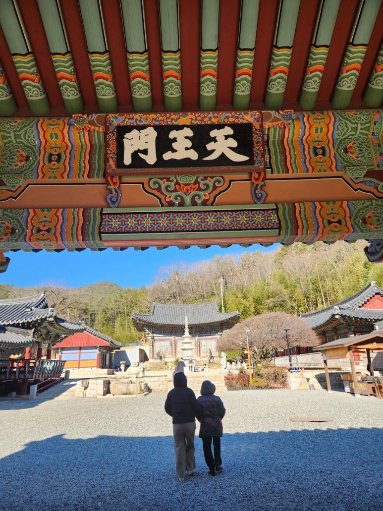 구경메기매운탕 이미지