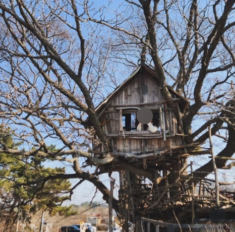 백이십퍼센트 이미지
