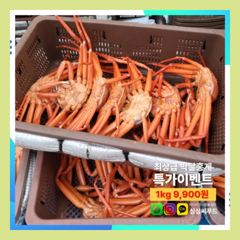 싱싱씨푸드 이미지