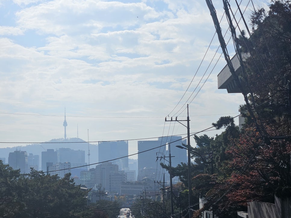 델리상회 이미지