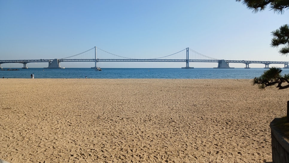 엘마르민박 이미지