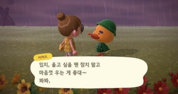 데헷 이미지