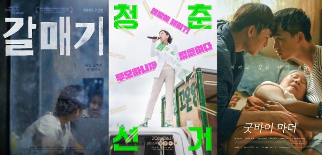 청춘갈매기 이미지