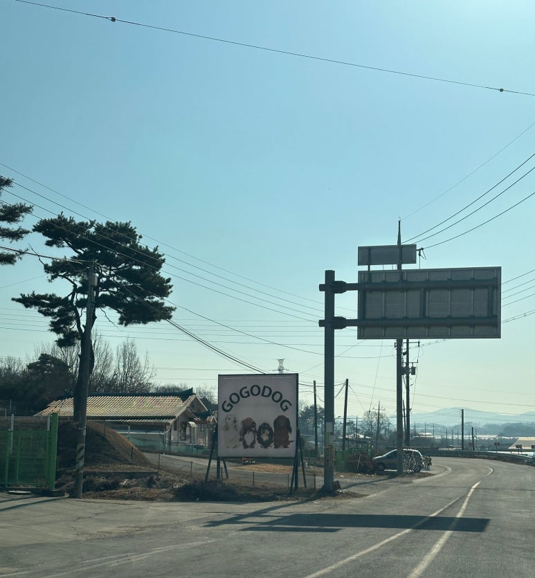 고고독 이미지