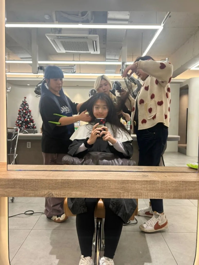 칼리헤어 이미지