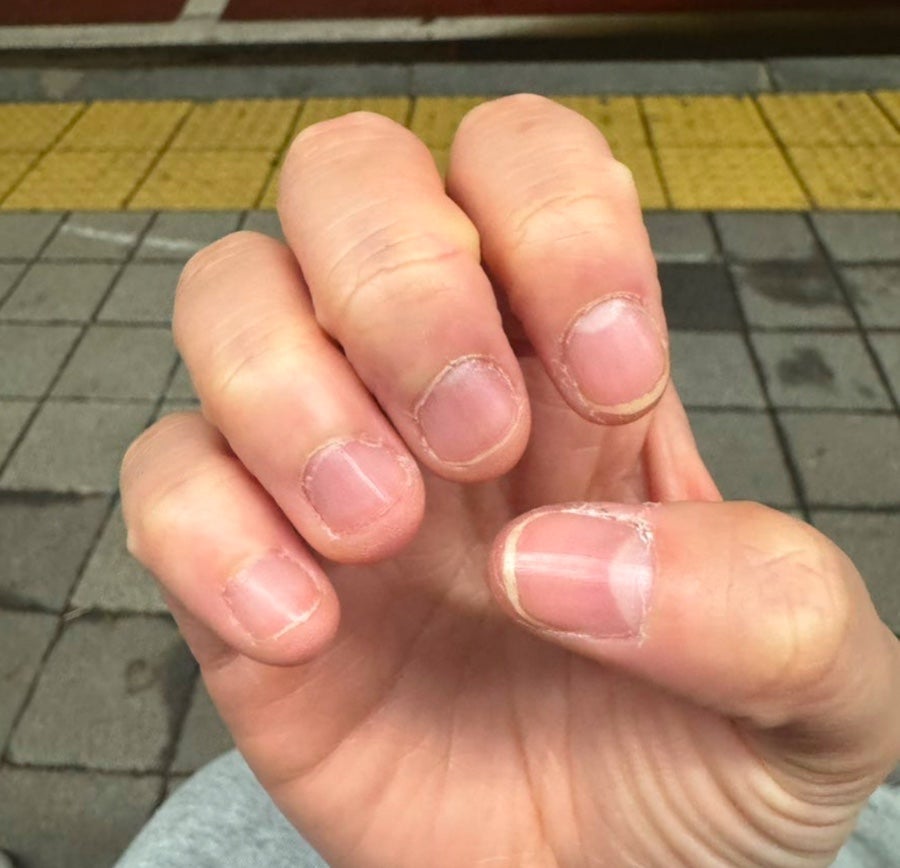 네일;피오리 이미지