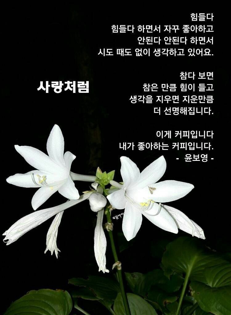안*경 이미지
