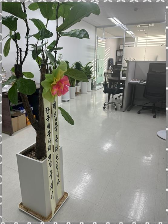 세무회계해수 이미지
