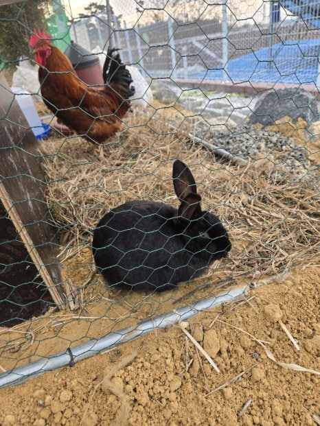 다오리펜션 이미지