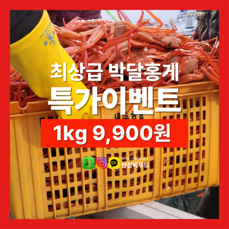 싱싱씨푸드 이미지