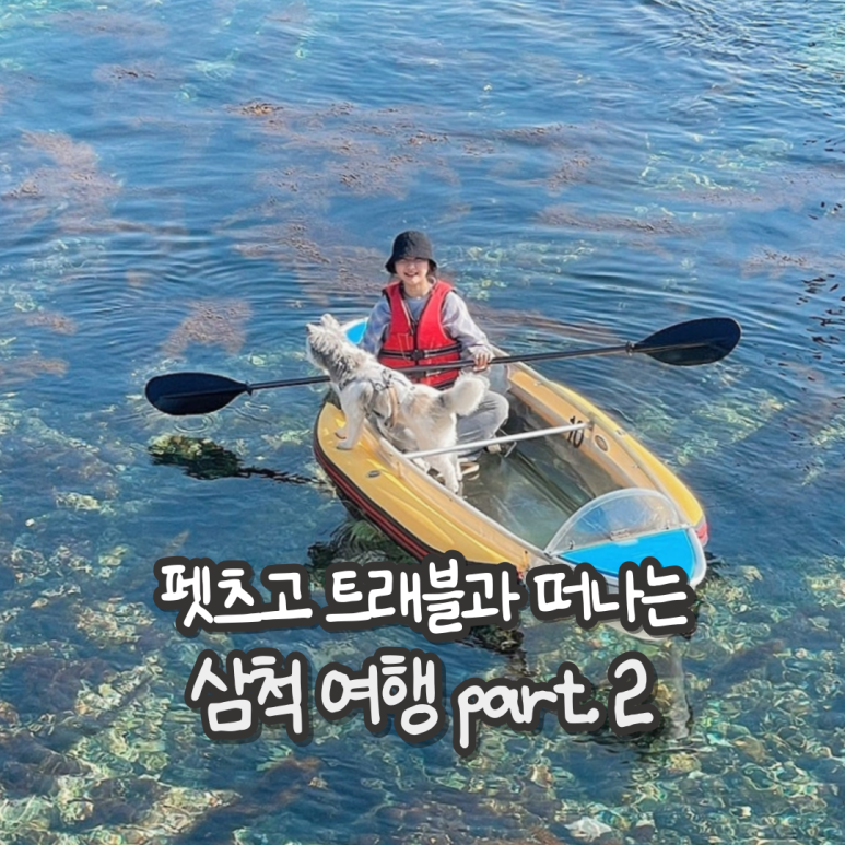 펫츠고트래블 이미지