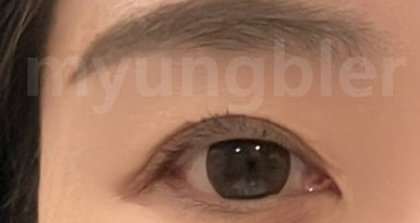 뮬라인 이미지