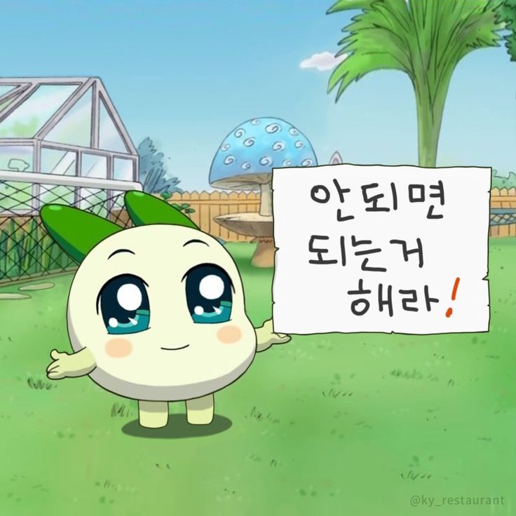 로엔제이스냅 이미지