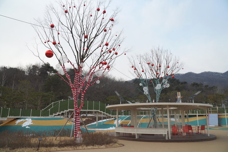 색동빈 이미지
