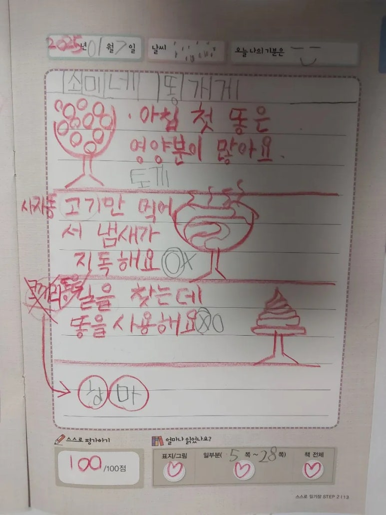 소미네일 이미지
