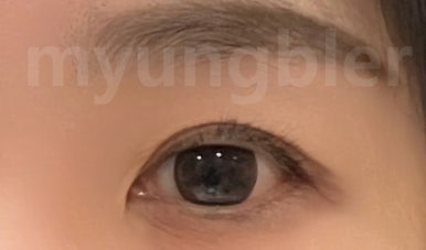 뮬라인 이미지