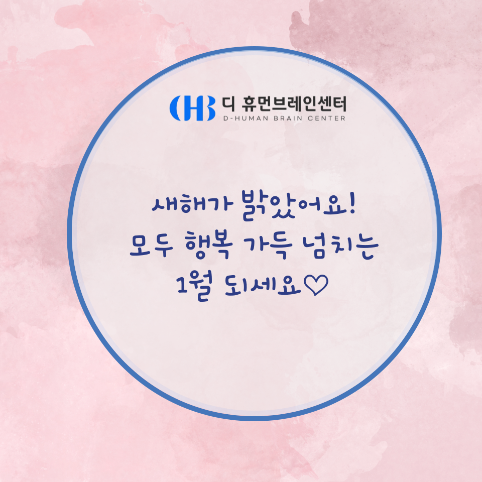 (주)디브레인 이미지