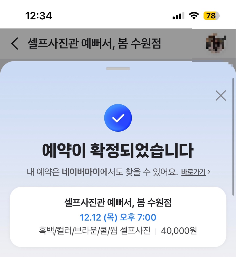 셀프사진관예뻐서;봄 이미지