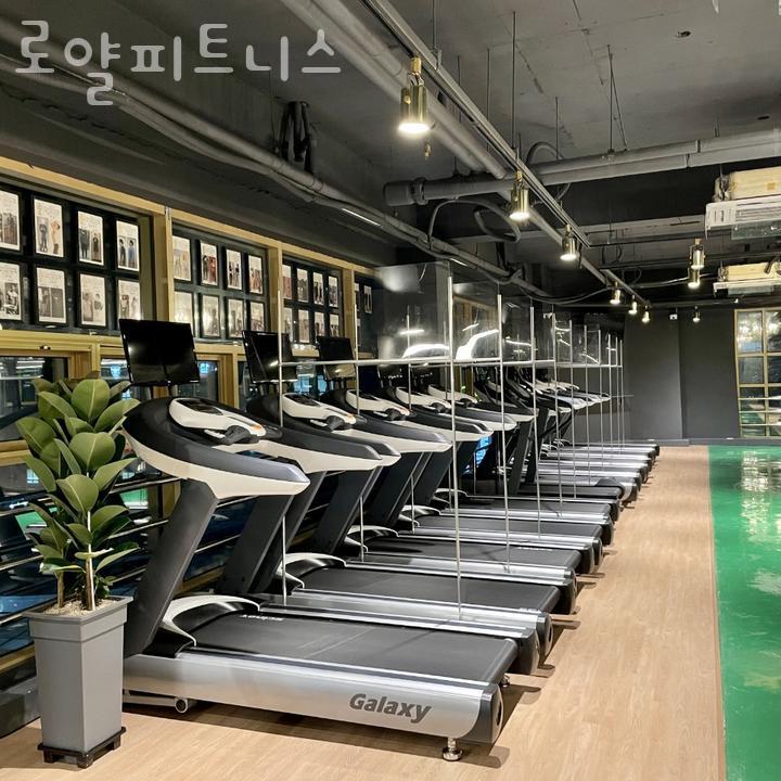 로얄피트니스 이미지