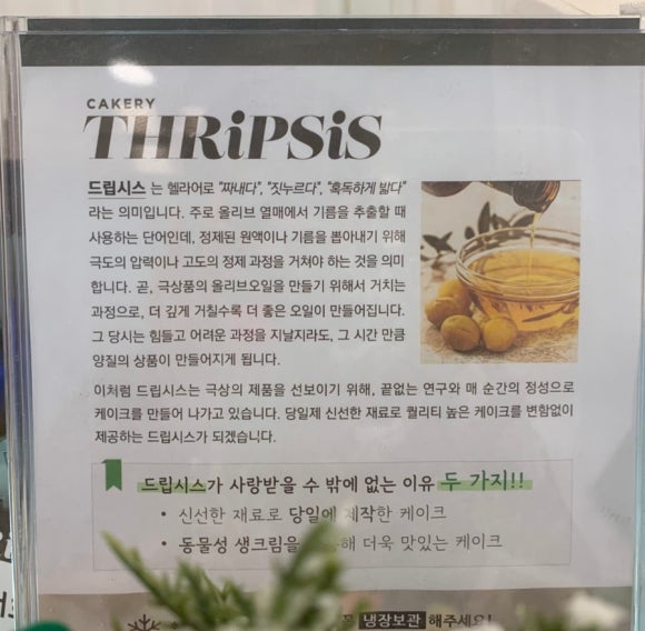 드립시스 이미지