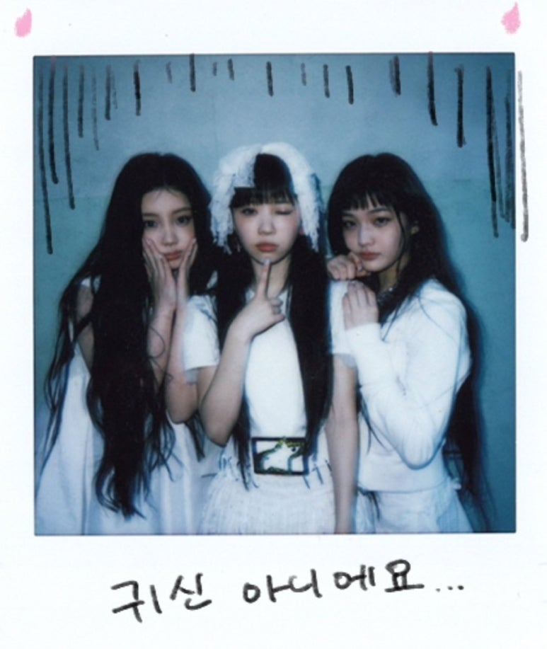 딱스 이미지