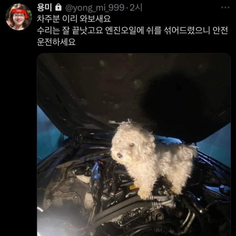 노아샵 이미지