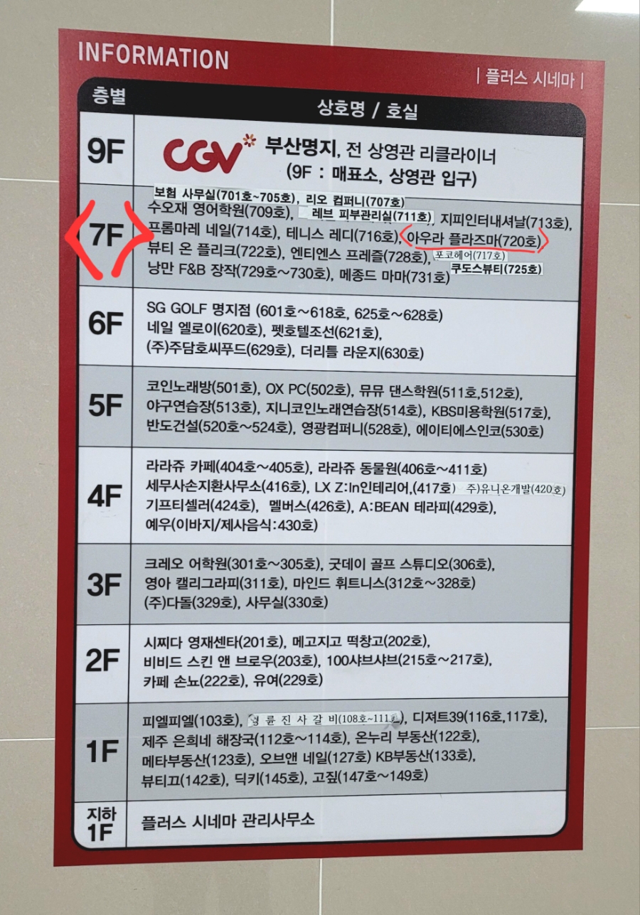 아우라 플라즈마 이미지
