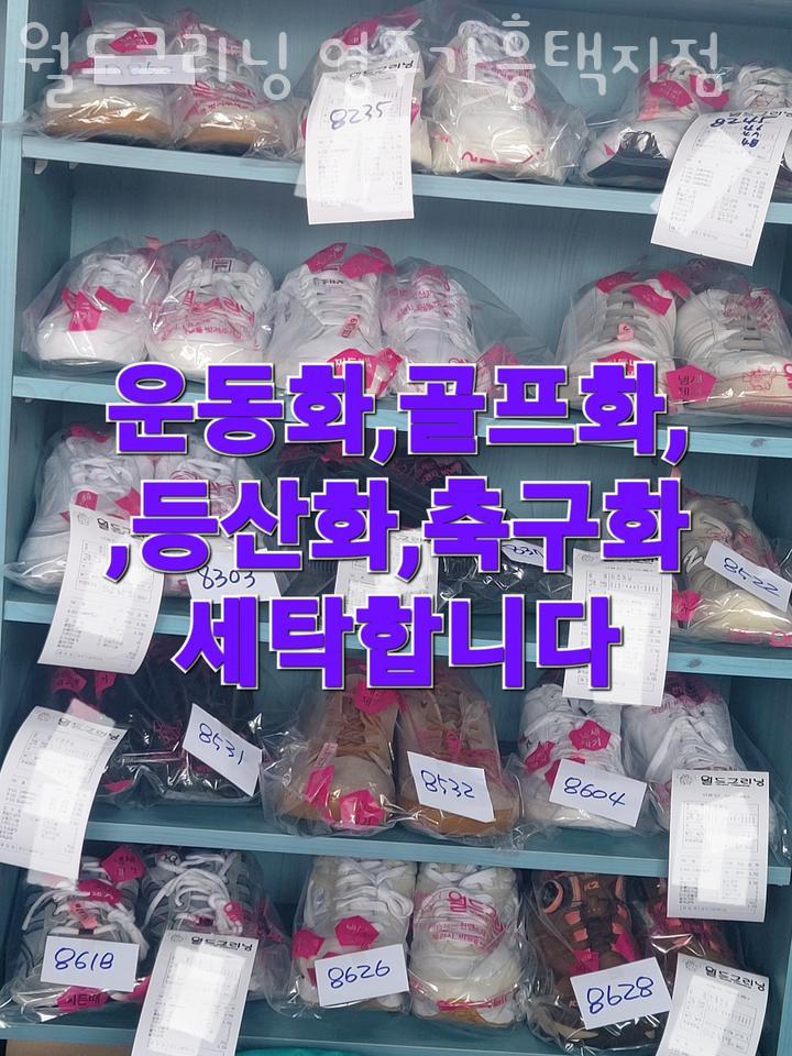 월드세탁 이미지