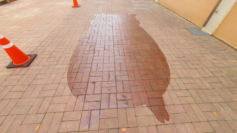 약동초등학교 이미지