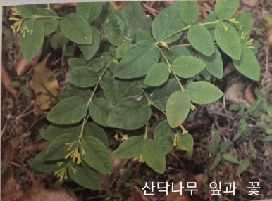 정광섬유 이미지