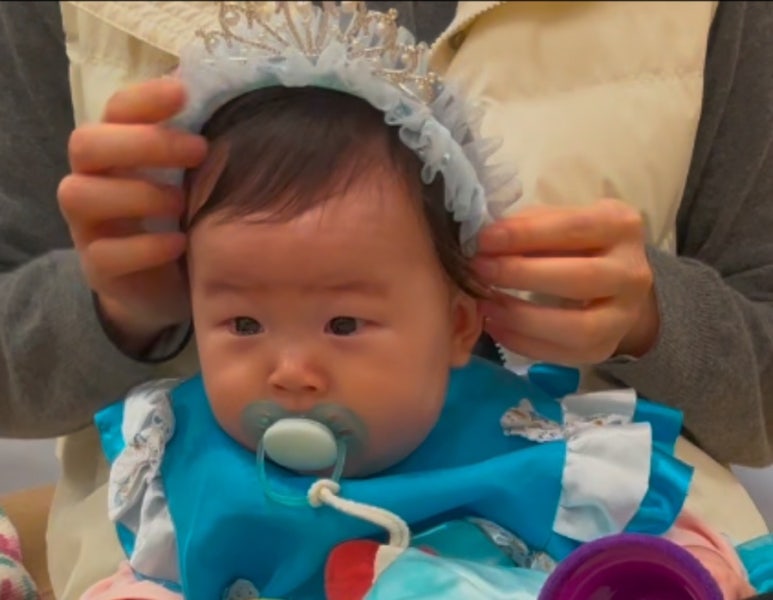 담별 이미지