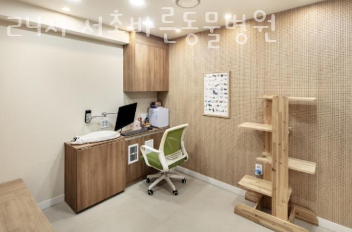 서초바른내과 이미지