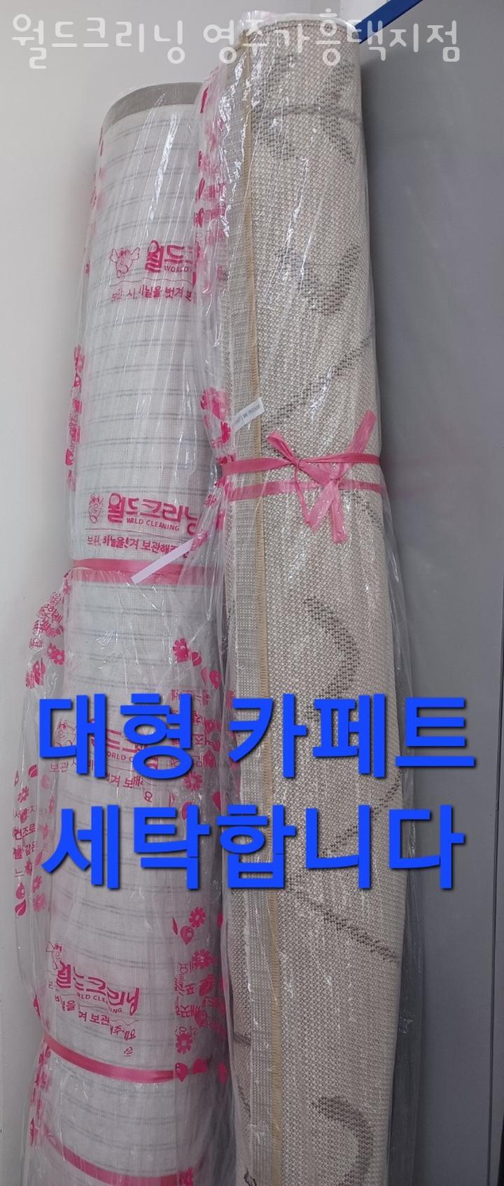 월드크리닝경북 이미지