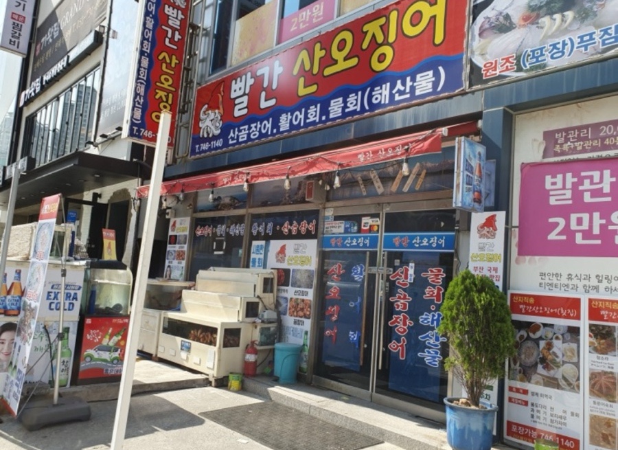 빨간산오징어 이미지