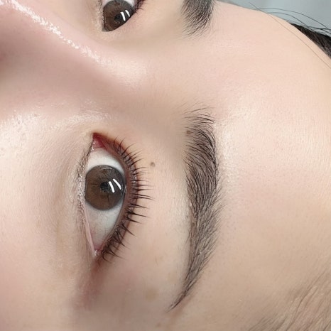 더한올(The한올) 이미지