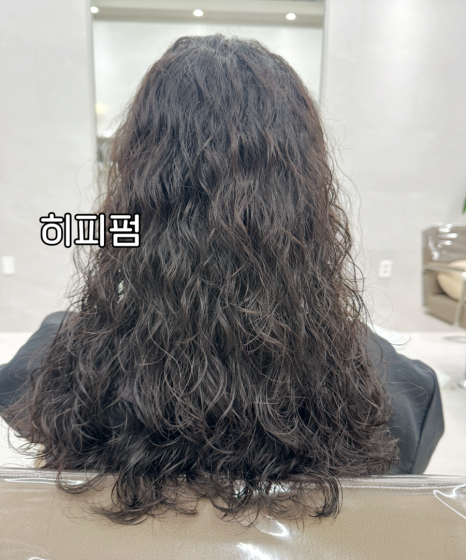 테오르헤어 이미지