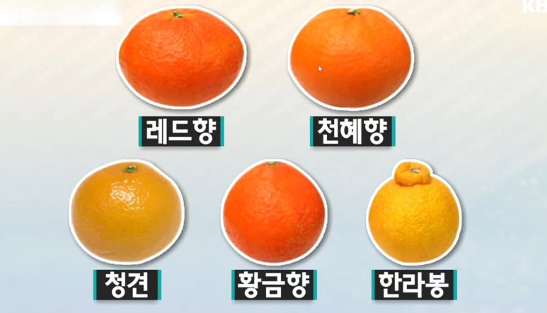 청호마트 이미지