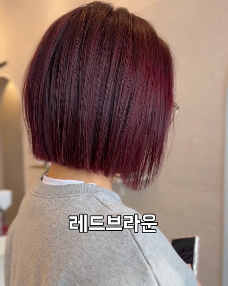테오르헤어 이미지